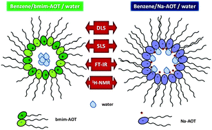 Graphical abstract: How the cation 1-butyl-3-methylimidazolium impacts the interaction between the entrapped water and the reverse micelle interface created with an ionic liquid-like surfactant