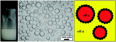 Graphical abstract: Oil-in-oil emulsions stabilised solely by solid particles