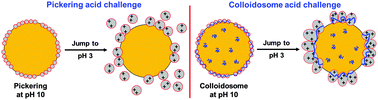 Graphical abstract: Giant pH-responsive microgel colloidosomes: preparation, interaction dynamics and stability
