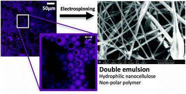Graphical abstract: Double emulsions for the compatibilization of hydrophilic nanocellulose with non-polar polymers and validation in the synthesis of composite fibers