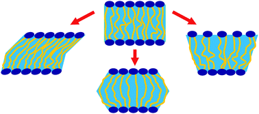 Graphical abstract: Elastic deformations of bolalipid membranes