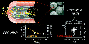 Graphical abstract: Local coordination and dynamics of a protic ammonium based ionic liquid immobilized in nano-porous silica micro-particles probed by Raman and NMR spectroscopy
