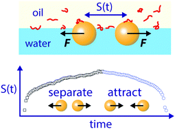 Graphical abstract: Interfacial rheometry of polymer at a water–oil interface by intra-pair magnetophoresis