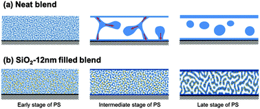 Graphical abstract: Suppression of wetting-induced percolation-to-droplet transition in near-critical polymer blend films by nanoparticles