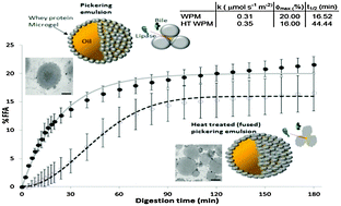 Graphical abstract: In vitro digestion of Pickering emulsions stabilized by soft whey protein microgel particles: influence of thermal treatment