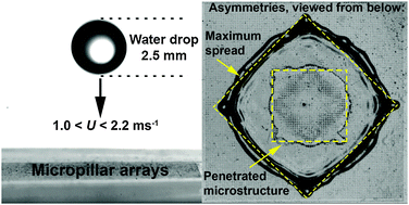 Graphical abstract: Asymmetries in the spread of drops impacting on hydrophobic micropillar arrays