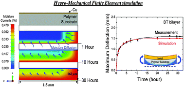 Graphical abstract: Prediction of time-dependent swelling of flexible polymer substrates using hygro-mechanical finite element simulations