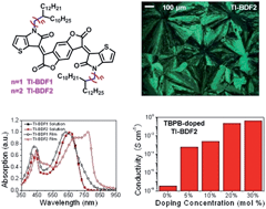 Graphical abstract: A conductive liquid crystal via facile doping of an n-type benzodifurandione derivative