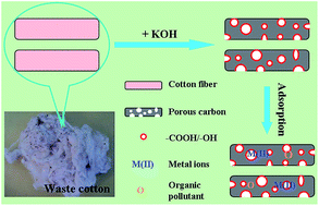 Graphical abstract: Cotton derived carbonaceous aerogels for the efficient removal of organic pollutants and heavy metal ions