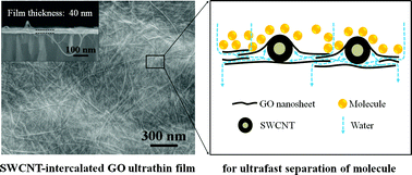 Graphical abstract: SWCNT-intercalated GO ultrathin films for ultrafast separation of molecules