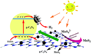Graphical abstract: In situ light-assisted preparation of MoS2 on graphitic C3N4 nanosheets for enhanced photocatalytic H2 production from water