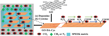 Graphical abstract: Enhancing the CO2 separation performance of composite membranes by the incorporation of amino acid-functionalized graphene oxide