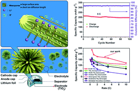 Graphical abstract: Chrysanthemum-like TiO2 nanostructures with exceptional reversible capacity and high coulombic efficiency for lithium storage