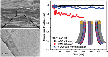Graphical abstract: Synergistic effect of a r-GO/PANI nanocomposite electrode based air working ionic actuator with a large actuation stroke and long-term durability