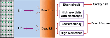 Graphical abstract: Dendrite-free lithium metal anodes: stable solid electrolyte interphases for high-efficiency batteries