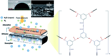 Graphical abstract: Synthesis of cross-linked amides and esters as thin film composite membrane materials yields permeable and selective material for water vapor/gas separation