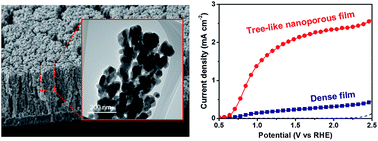 Graphical abstract: A tree-like nanoporous WO3 photoanode with enhanced charge transport efficiency for photoelectrochemical water oxidation
