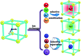 Graphical abstract: An InIII-based anionic metal–organic framework: sensitization of lanthanide (III) ions and selective absorption and separation of cationic dyes