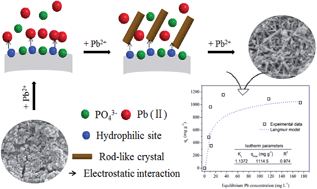 Graphical abstract: Ultra-high capacity and selective immobilization of Pb through crystal growth of hydroxypyromorphite on amino-functionalized hydrochar