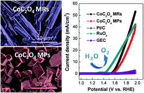 Graphical abstract: Non-precious cobalt oxalate microstructures as highly efficient electrocatalysts for oxygen evolution reaction