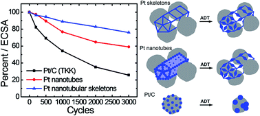 Graphical abstract: Synthesis and structural evolution of Pt nanotubular skeletons: revealing the source of the instability of nanostructured electrocatalysts
