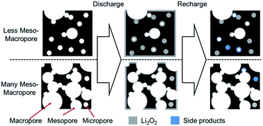 Graphical abstract: Impact of large-scale meso- and macropore structures in adenosine-derived affordable noble carbon on efficient reversible oxygen electrocatalytic redox reactions