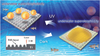 Graphical abstract: Photoinduced switchable underwater superoleophobicity–superoleophilicity on laser modified titanium surfaces
