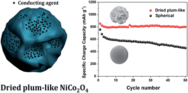 Graphical abstract: A novel NiCo2O4 anode morphology for lithium-ion batteries