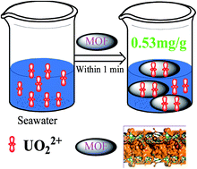 Graphical abstract: Ultrafast high-performance extraction of uranium from seawater without pretreatment using an acylamide- and carboxyl-functionalized metal–organic framework