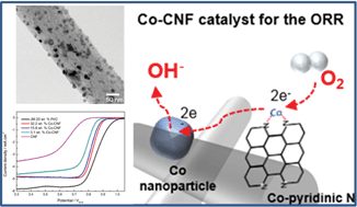 Graphical abstract: Cobalt-carbon nanofibers as an efficient support-free catalyst for oxygen reduction reaction with a systematic study of active site formation