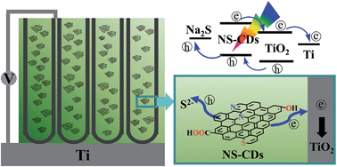Graphical abstract: Rational design of nitrogen and sulfur co-doped carbon dots for efficient photoelectrical conversion applications