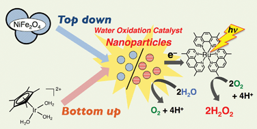 Graphical abstract: Bottom-up and top-down methods to improve catalytic reactivity for photocatalytic production of hydrogen peroxide using a Ru-complex and water oxidation catalysts