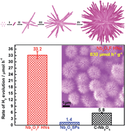 Graphical abstract: Secondary growth of hierarchical nanostructures composed only of Nb3O7F single-crystalline nanorods as a new photocatalyst for hydrogen production