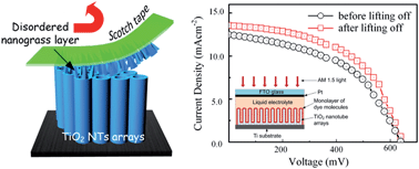 Graphical abstract: Open-top TiO2 nanotube arrays with enhanced photovoltaic and photochemical performances via a micromechanical cleavage approach