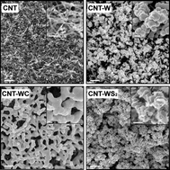 Graphical abstract: Synthesis of tungsten carbide and tungsten disulfide on vertically aligned multi-walled carbon nanotube forests and their application as non-Pt electrocatalysts for the hydrogen evolution reaction