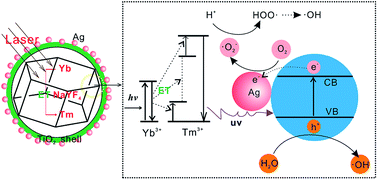 Graphical abstract: Non-ultraviolet photocatalytic kinetics of NaYF4:Yb,Tm@TiO2/Ag core@comby shell nanostructures