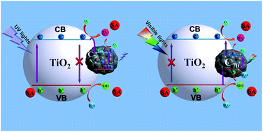 Graphical abstract: Fullerene C70–TiO2 hybrids with enhanced photocatalytic activity under visible light irradiation