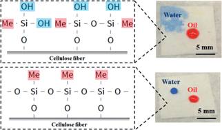 Graphical abstract: Fabrication of oleophobic paper with tunable hydrophilicity by treatment with non-fluorinated chemicals
