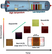 Graphical abstract: Large formamidinium lead trihalide perovskite solar cells using chemical vapor deposition with high reproducibility and tunable chlorine concentrations