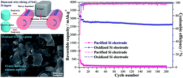 Graphical abstract: Robust polymeric coating enables the stable operation of silicon micro-plate anodes recovered from photovoltaic industry waste for high-performance Li-ion batteries