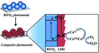 Graphical abstract: Enhanced photoelectrochemical water oxidation on a BiVO4 photoanode modified with multi-functional layered double hydroxide nanowalls