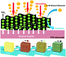 Graphical abstract: Polyurethane sponge facilitating highly dispersed TiO2 nanoparticles on reduced graphene oxide sheets for enhanced photoelectro-oxidation of ethanol