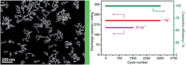 Graphical abstract: Retracted Article: Mesoporous amorphous FeOF nanococoons for high-rate and long-life rechargeable sodium-ion batteries