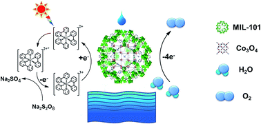 Graphical abstract: Metal–organic framework immobilized cobalt oxide nanoparticles for efficient photocatalytic water oxidation