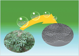 Graphical abstract: Transformation of worst weed into N-, S-, and P-tridoped carbon nanorings as metal-free electrocatalysts for the oxygen reduction reaction