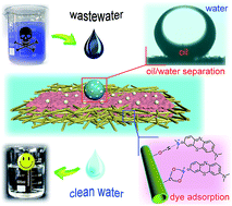 Graphical abstract: Mussel and fish scale-inspired underwater superoleophobic kapok membranes for continuous and simultaneous removal of insoluble oils and soluble dyes in water
