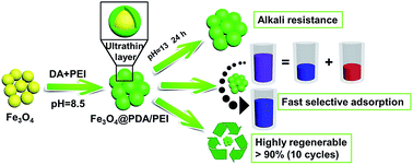 Graphical abstract: Highly regenerable alkali-resistant magnetic nanoparticles inspired by mussels for rapid selective dye removal offer high-efficiency environmental remediation