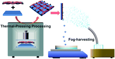Graphical abstract: A facile strategy for the fabrication of a bioinspired hydrophilic–superhydrophobic patterned surface for highly efficient fog-harvesting