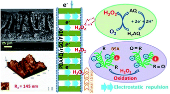 Graphical abstract: Hydraulic power and electric field combined antifouling effect of a novel conductive poly(aminoanthraquinone)/reduced graphene oxide nanohybrid blended PVDF ultrafiltration membrane