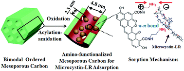 Graphical abstract: Amino-functionalized ordered mesoporous carbon for the separation of toxic microcystin-LR